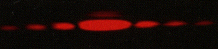 fente.gif (6701 octets)