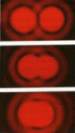 taches.gif (8003 octets)